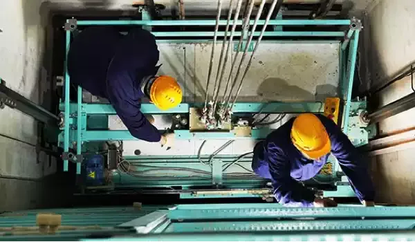 Yeşil Etiket Nasıl Alınır? Yıllık Muayene Süreci